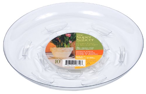 SUPER SAUCER 10"