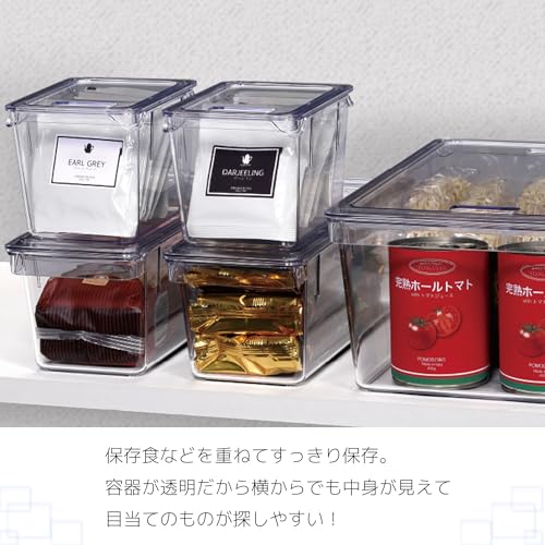 CLEAR STORAGE CONTAINER MEDIUM