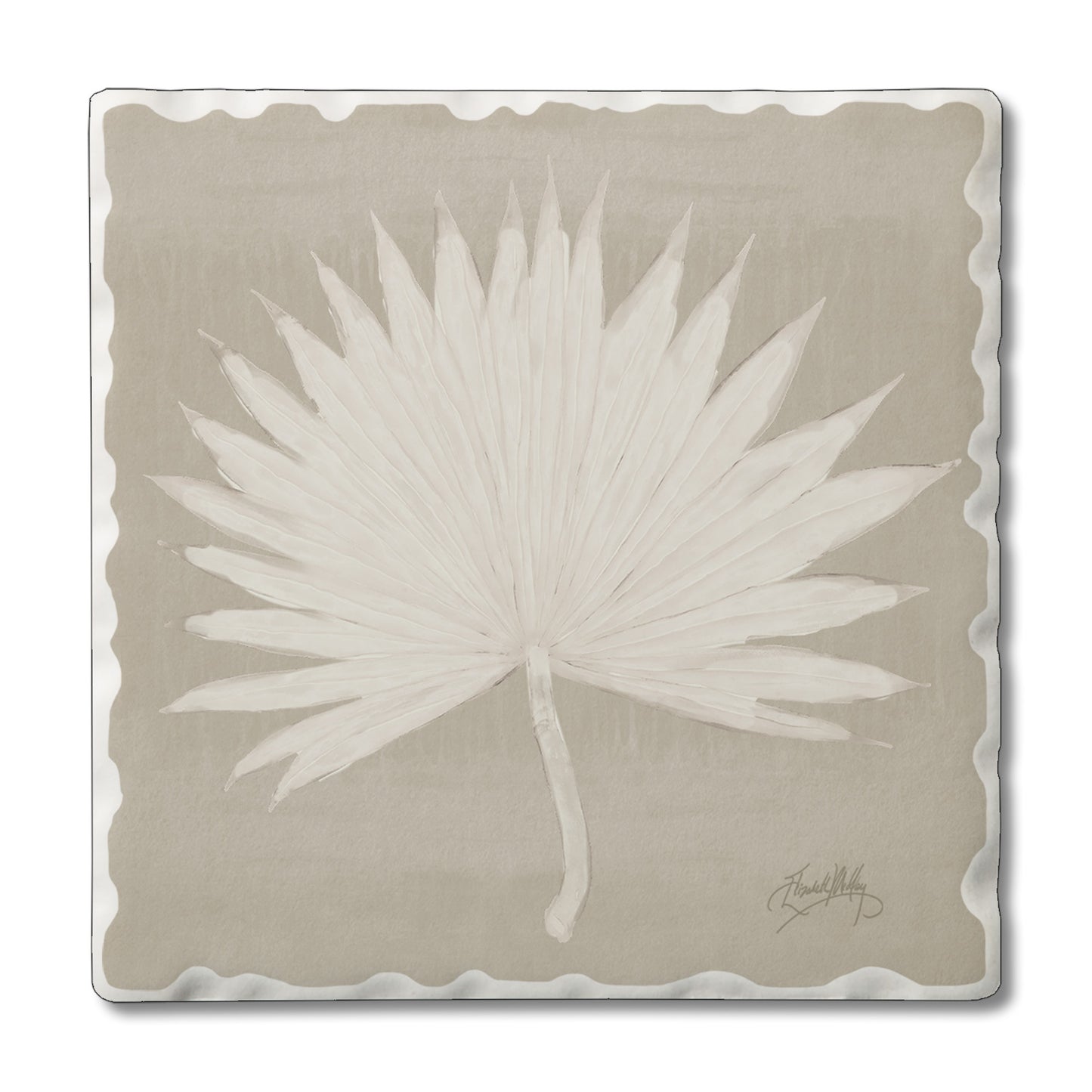 COASTER FAN PALM