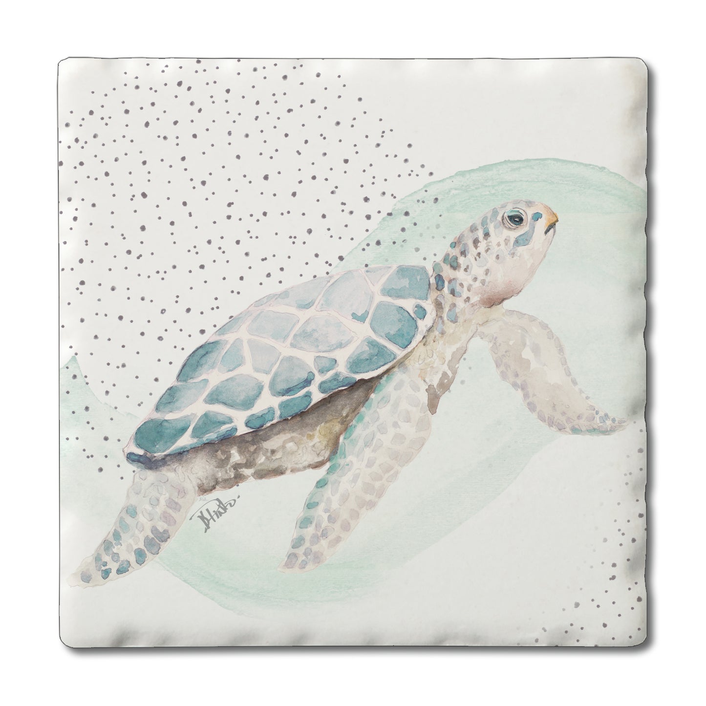 COASTER SEA TURTLE