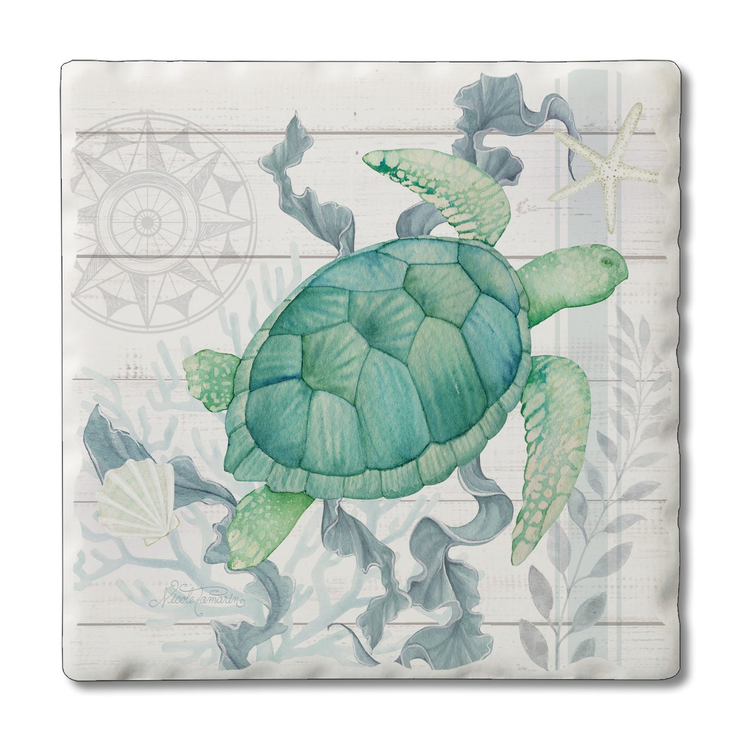 COASTER BEACH THERAPY TURTLE