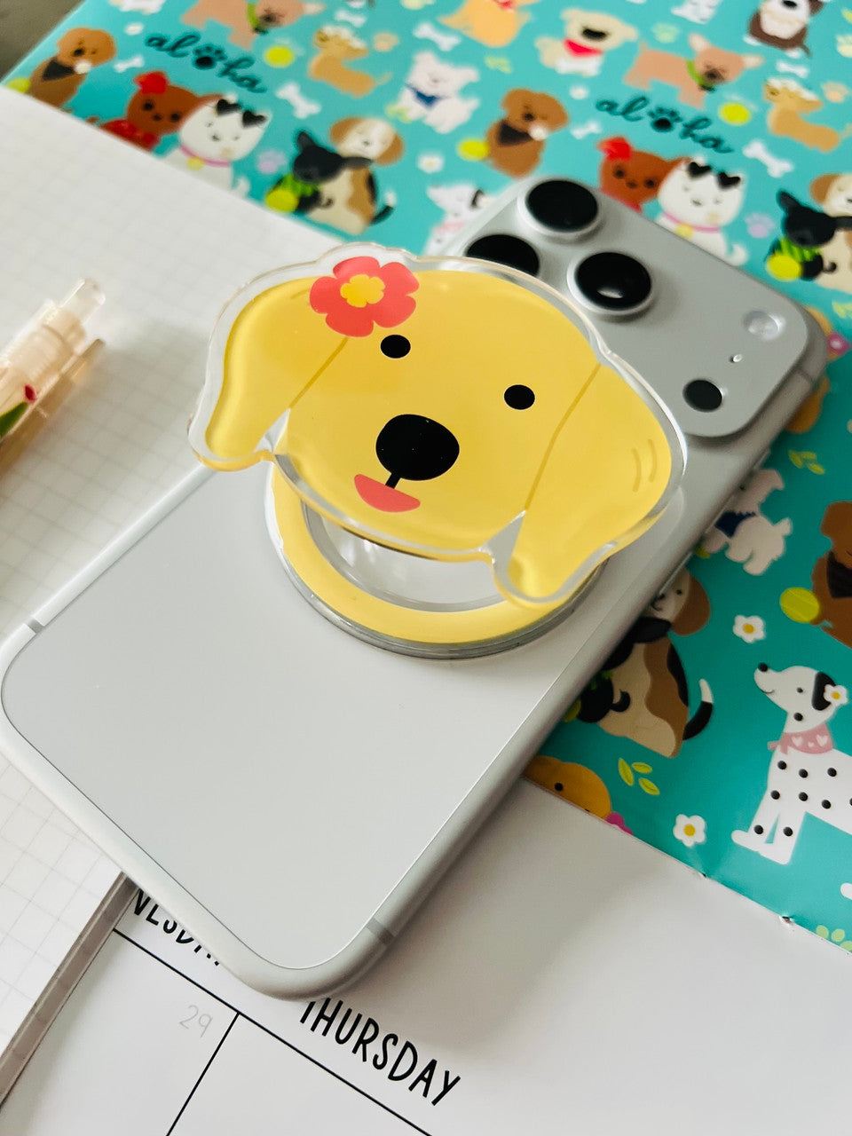 EDEN ALL KINE SNAPS GOLDEN DOG