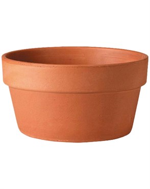 TERRA COTTA 8.5" HALF POT
