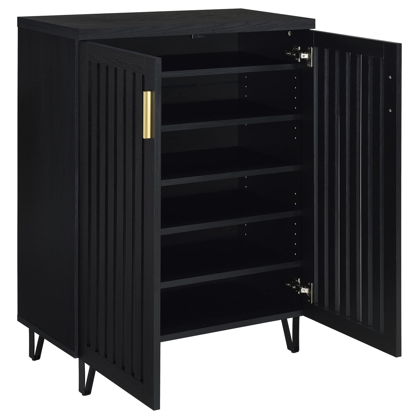 BRIXTON 2 DOOR SHOE CABINET BLACK