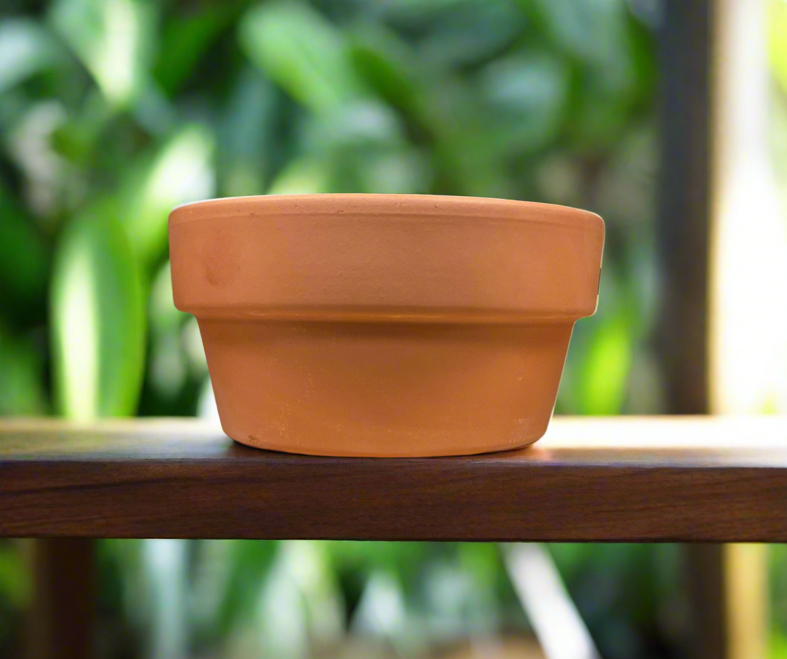 TERRA COTTA 5.5" HALF POT