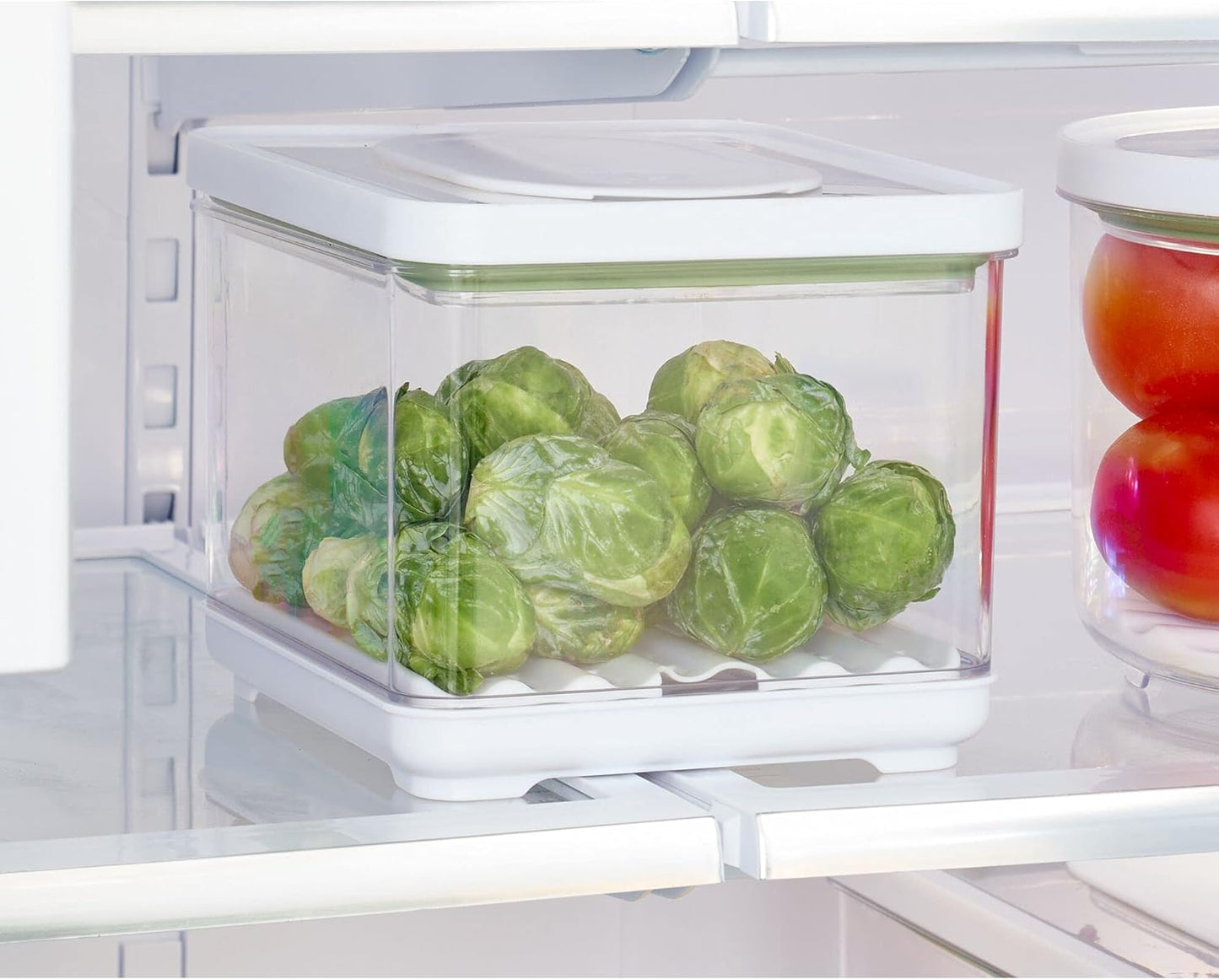 ID FRESH BIN SMALL CLR/WHT