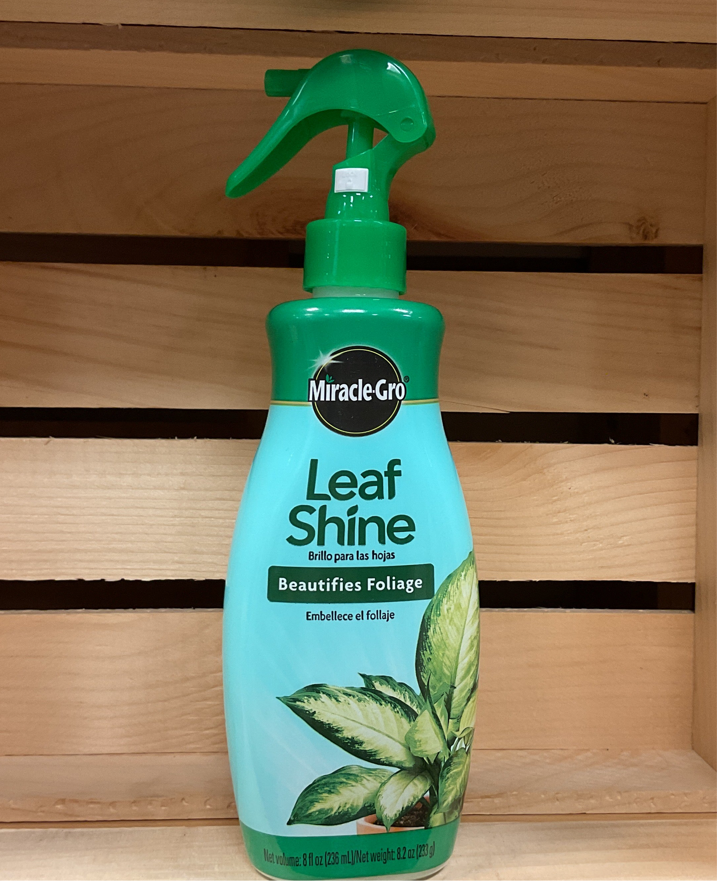 MG LEAF SHINE