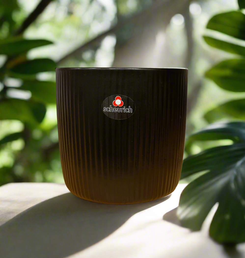 SCHEURICH SOLIDO LINEA EBANO 6"