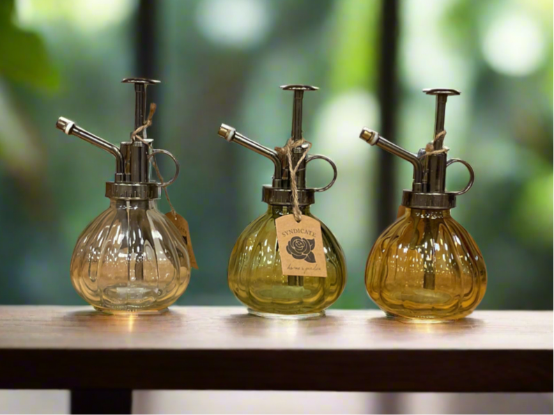 PLANT MISTER 6.5" ASSORTED