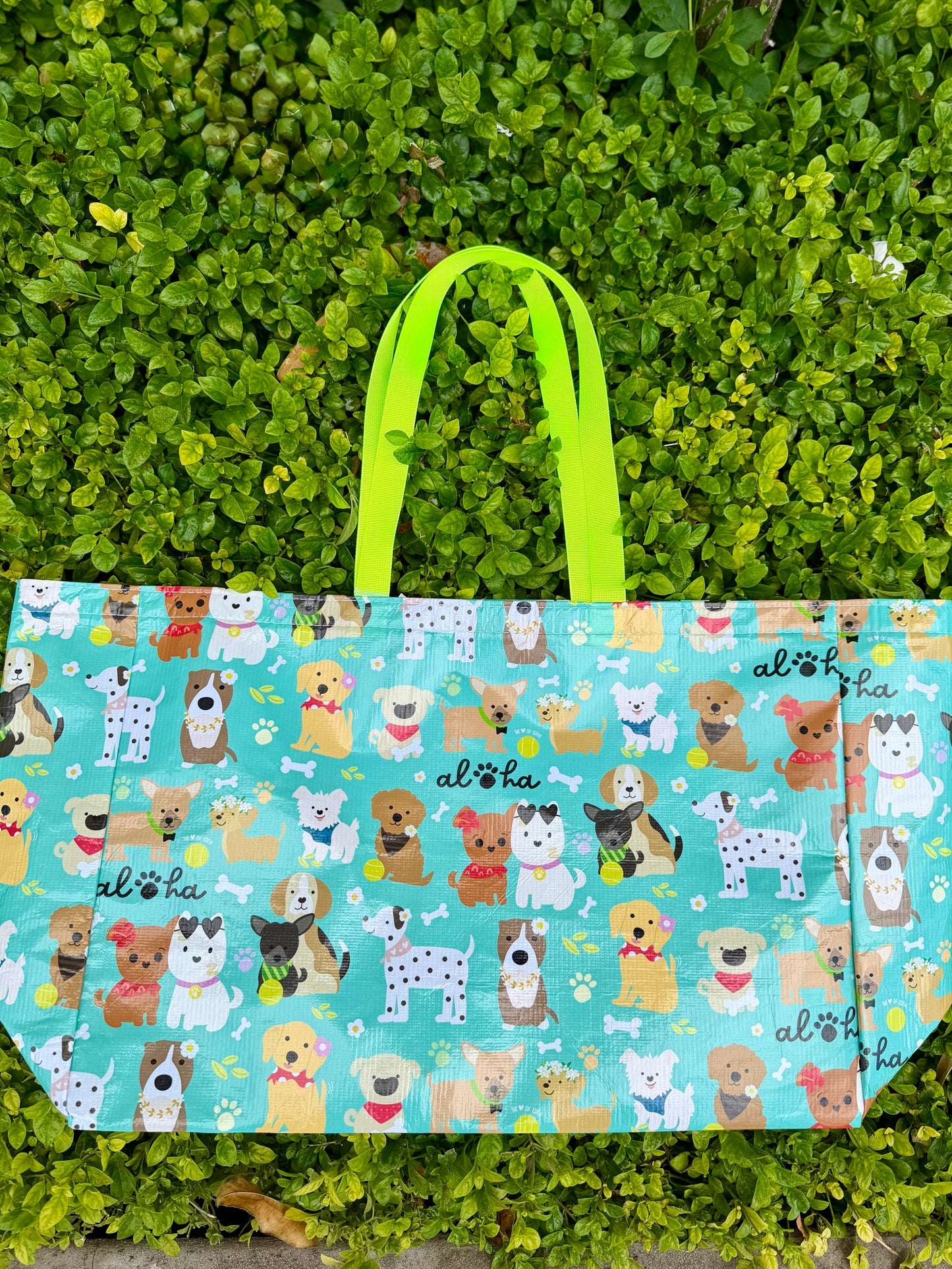 EDEN OVERSIZED CRINKLE BAG BARK PARK