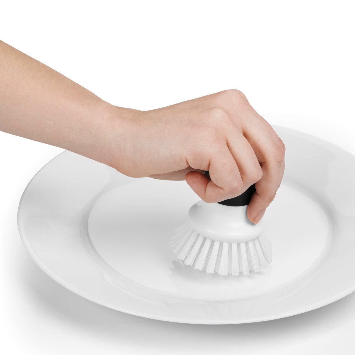 PALM BRUSH