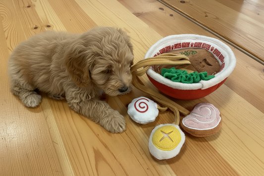 DOG TOY RAMEN BOWL