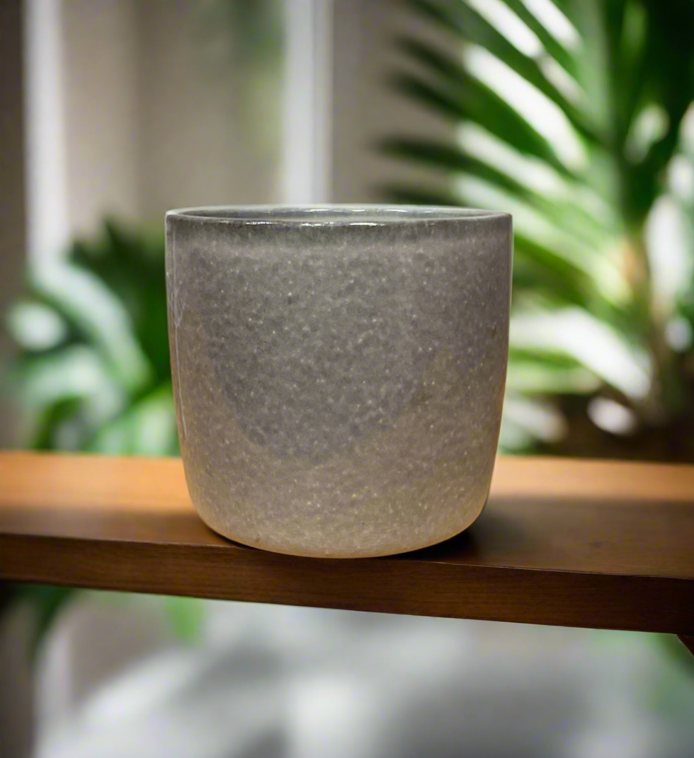 SCHEURICH SEASHELL 6.6"