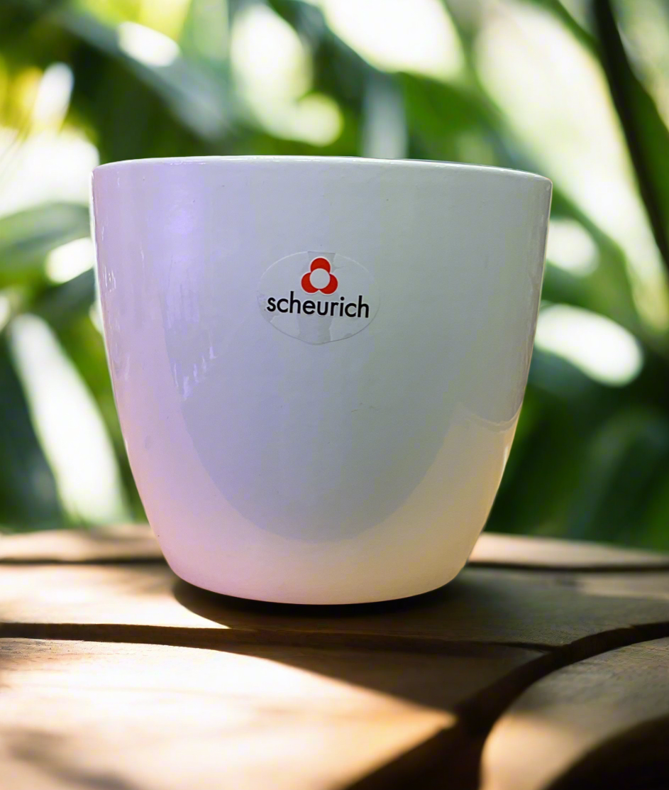 SCHEURICH ALASKA 5.5" WHITE