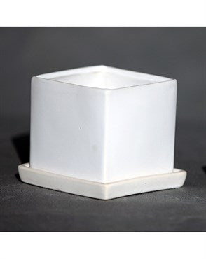 PALM SPRINGS 4.5" CUBE POT MWH