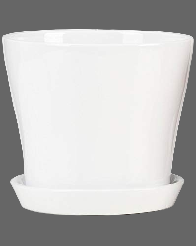 SCHEURICH ALASKA 6" POT