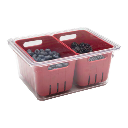 CLEAR BIN W/BERRY BASKETS