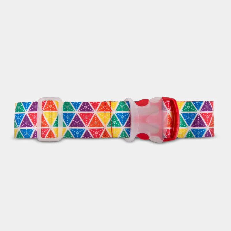 LUGGAGE STRAP RAINBOW