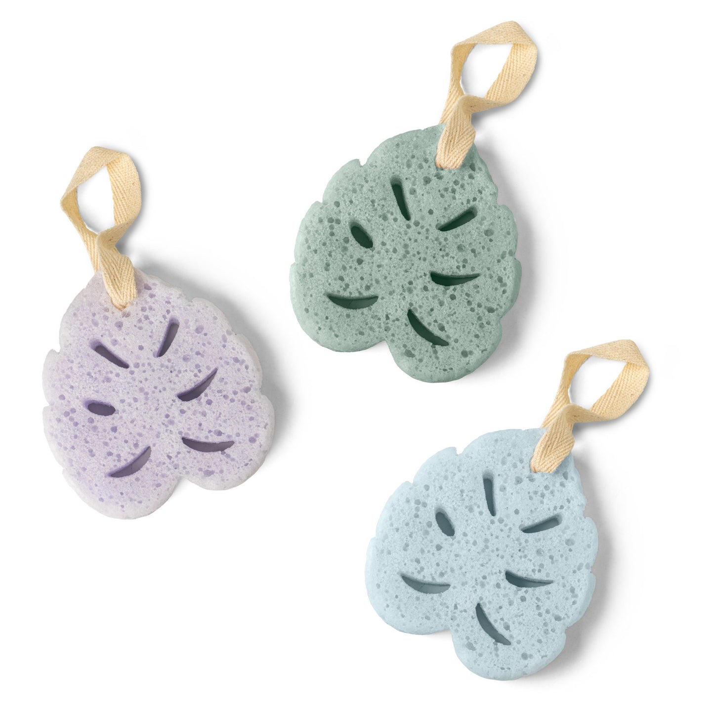 MONSTERA SOAP SPONGE