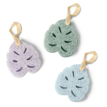 MONSTERA SOAP SPONGE