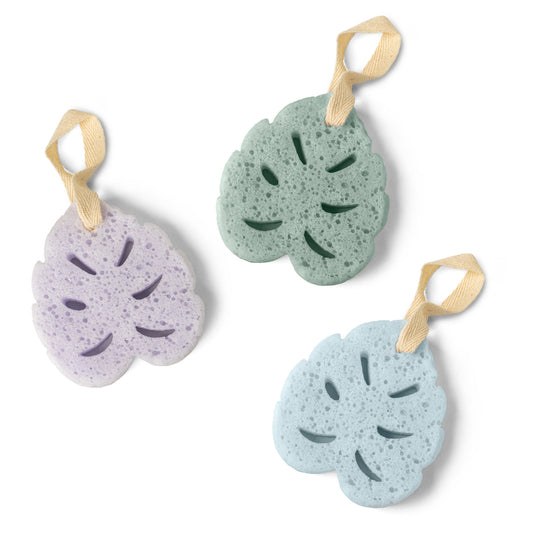 MONSTERA SOAP SPONGE