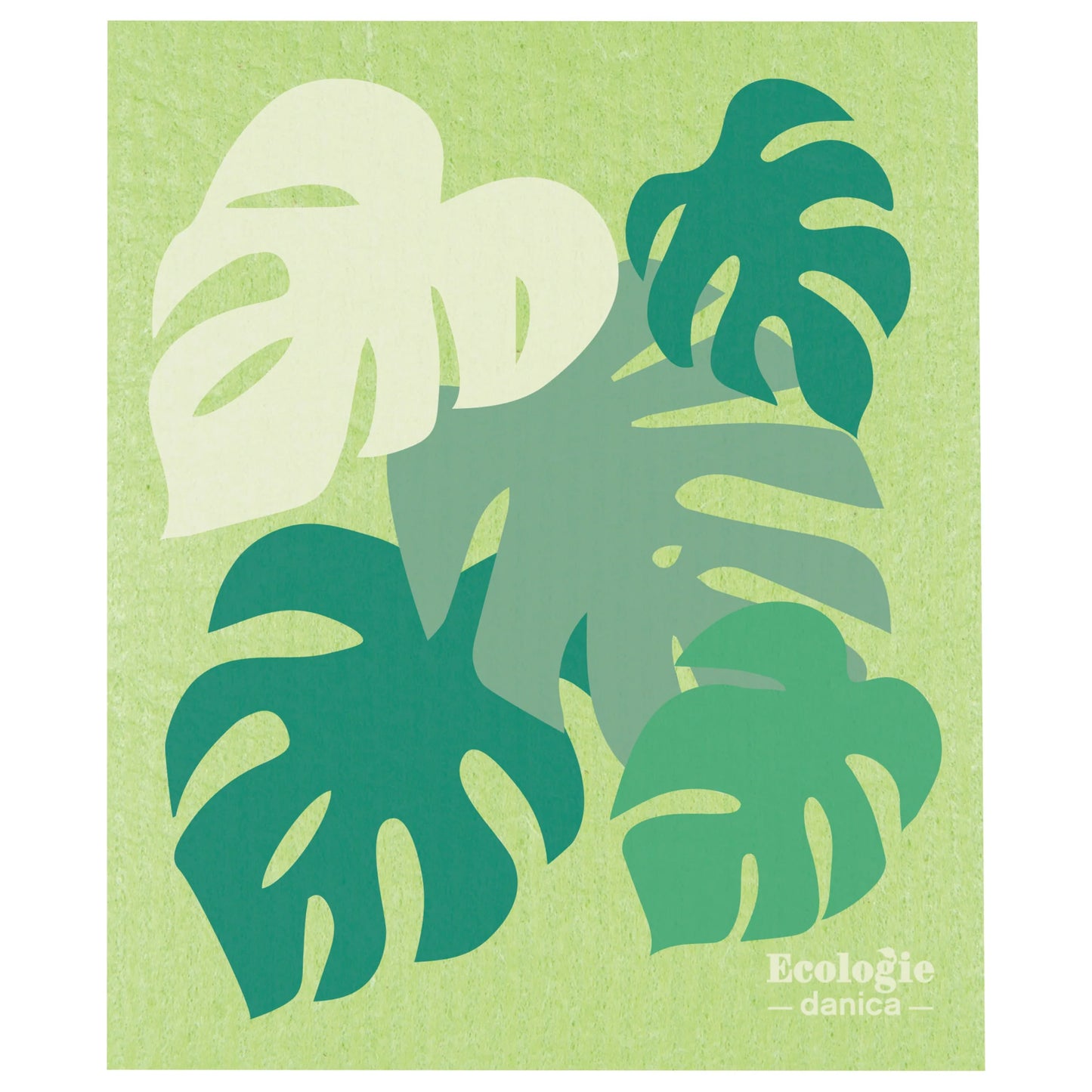 SWEDISH CLOTH MONSTERA