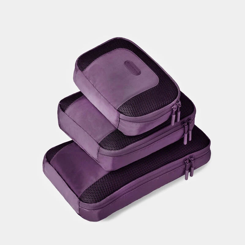 PI PACKING CUBES BLACKBERRY