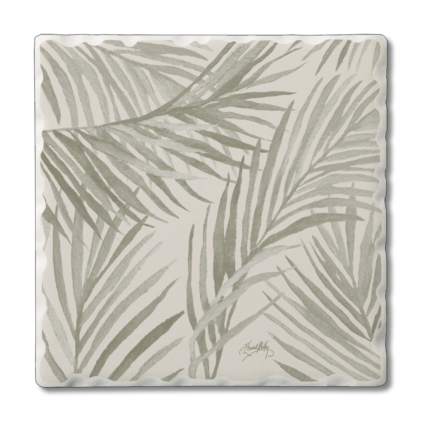 COASTER PALM FRONDS