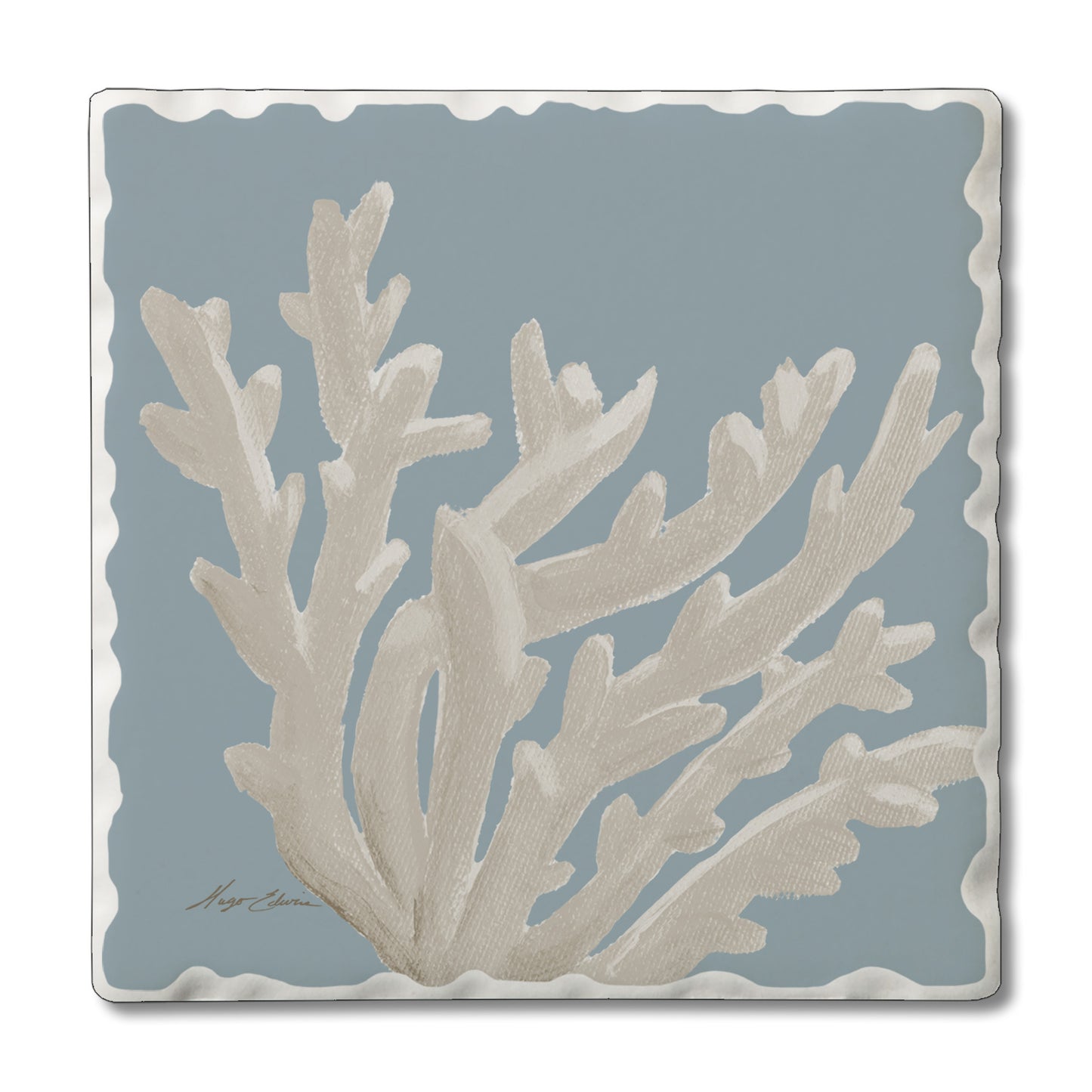 COASTER CORAL REEF
