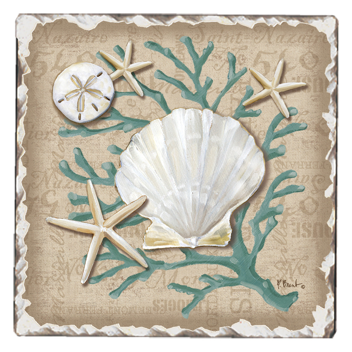 COASTER LINEN SHELLS
