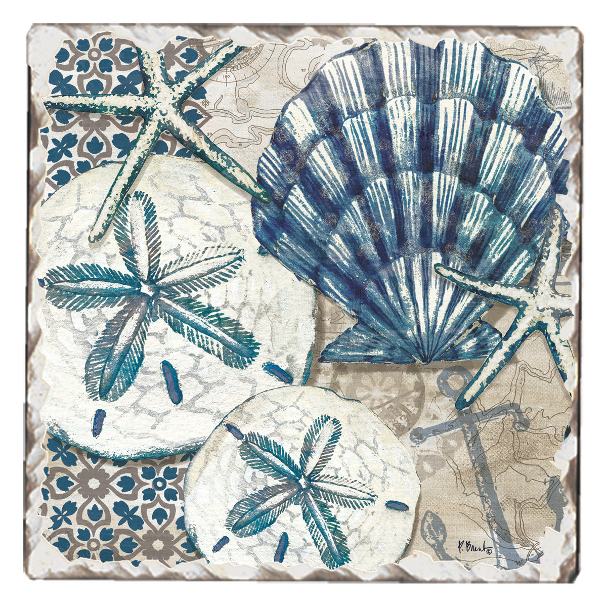 COASTER TIDE POOL SHELLS