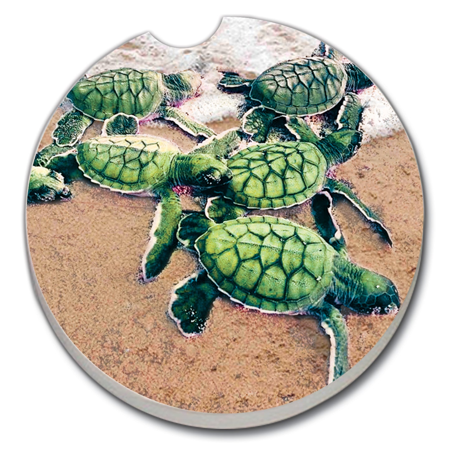 CAR COASTER BABY SEA TURTLES
