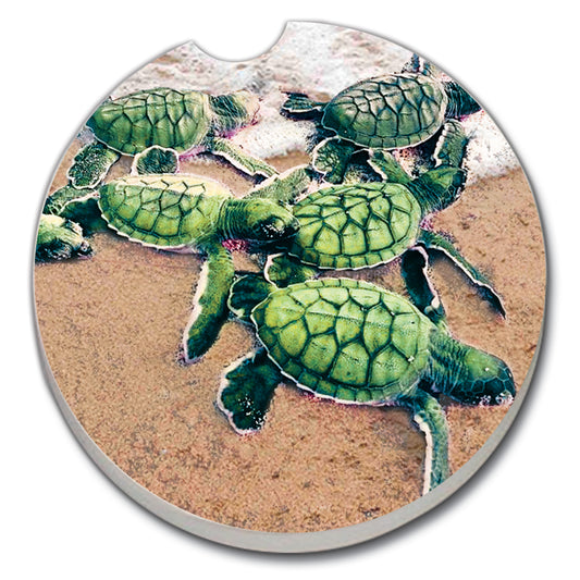 CAR COASTER BABY SEA TURTLES