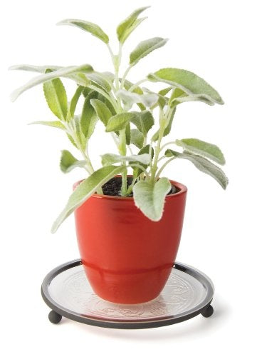 PLANT PLATFORM 8"