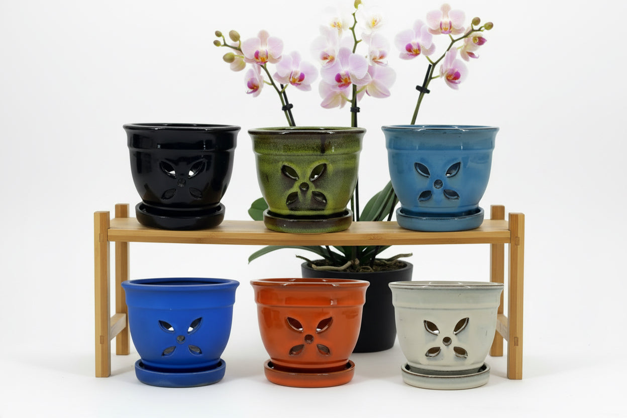 M. CARR ORCHID POT 5.5" ASSTD