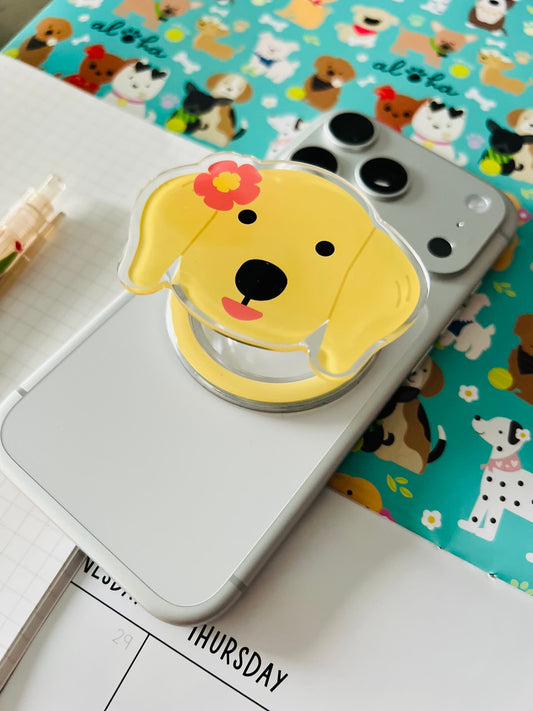 EDEN ALL KINE SNAPS GOLDEN DOG