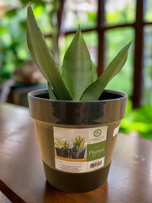 AVERLITE PLANTER 6" SLATE