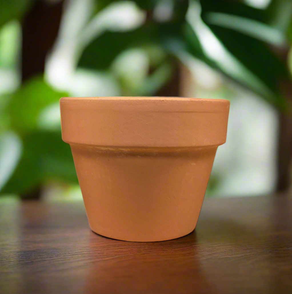 TERRA COTTA POT 4.3"