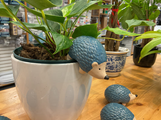 MINI HANG POT ANIMALS