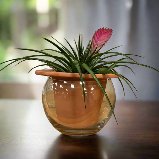 TERRA SELF WATERING PLNTR 7.5"