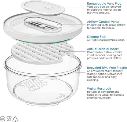 ID FRESH BOWL SMALL CLR/WHT