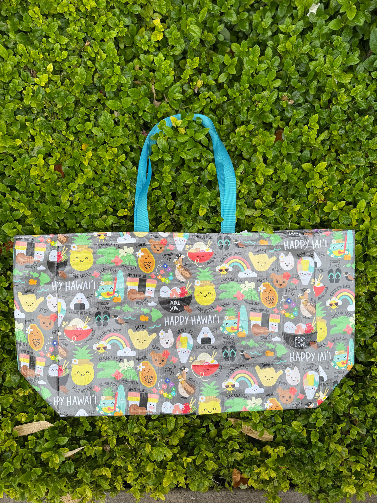 EDEN OVERSIZED CRINKLE BAG HAPPY HAWAII GREY