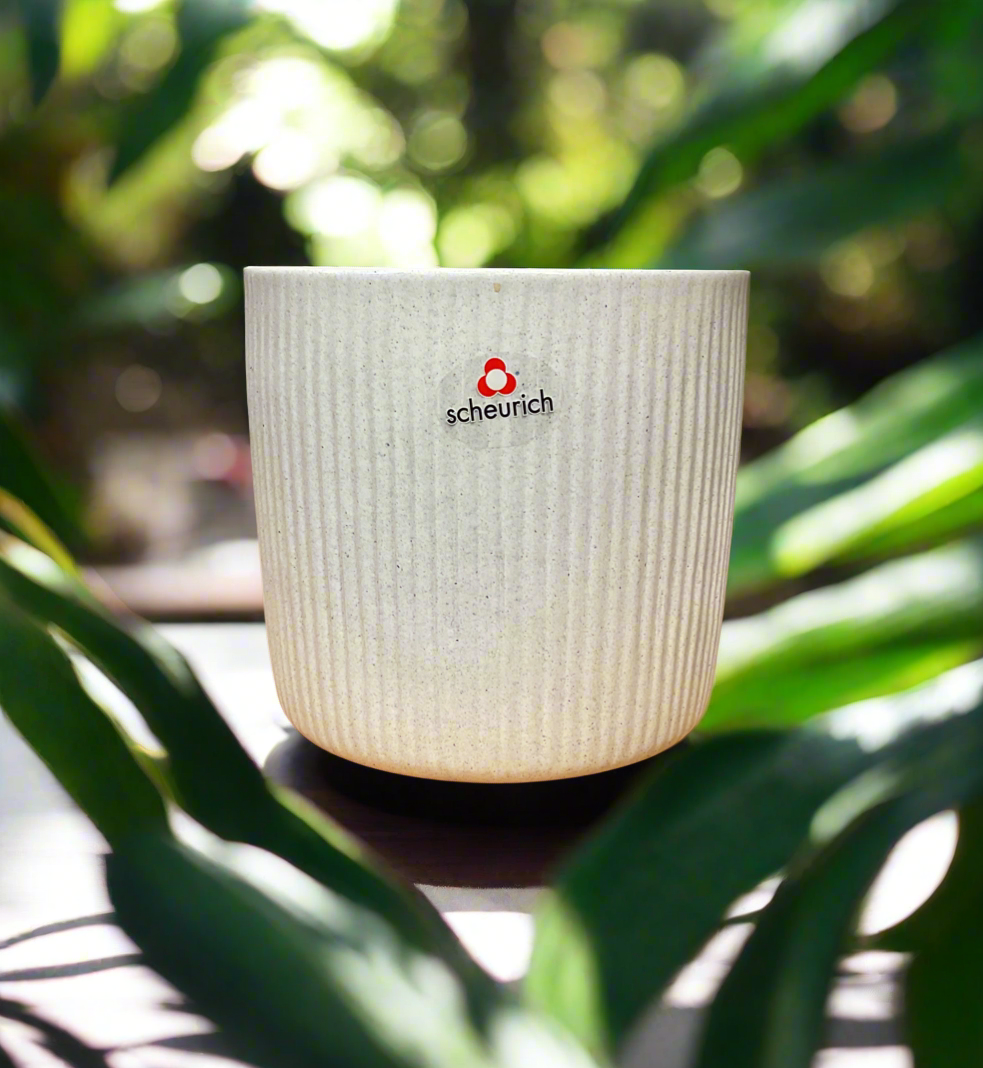 SCHEURICH PERLA POT 6"
