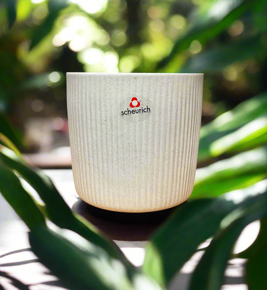 SCHEURICH PERLA POT 6"