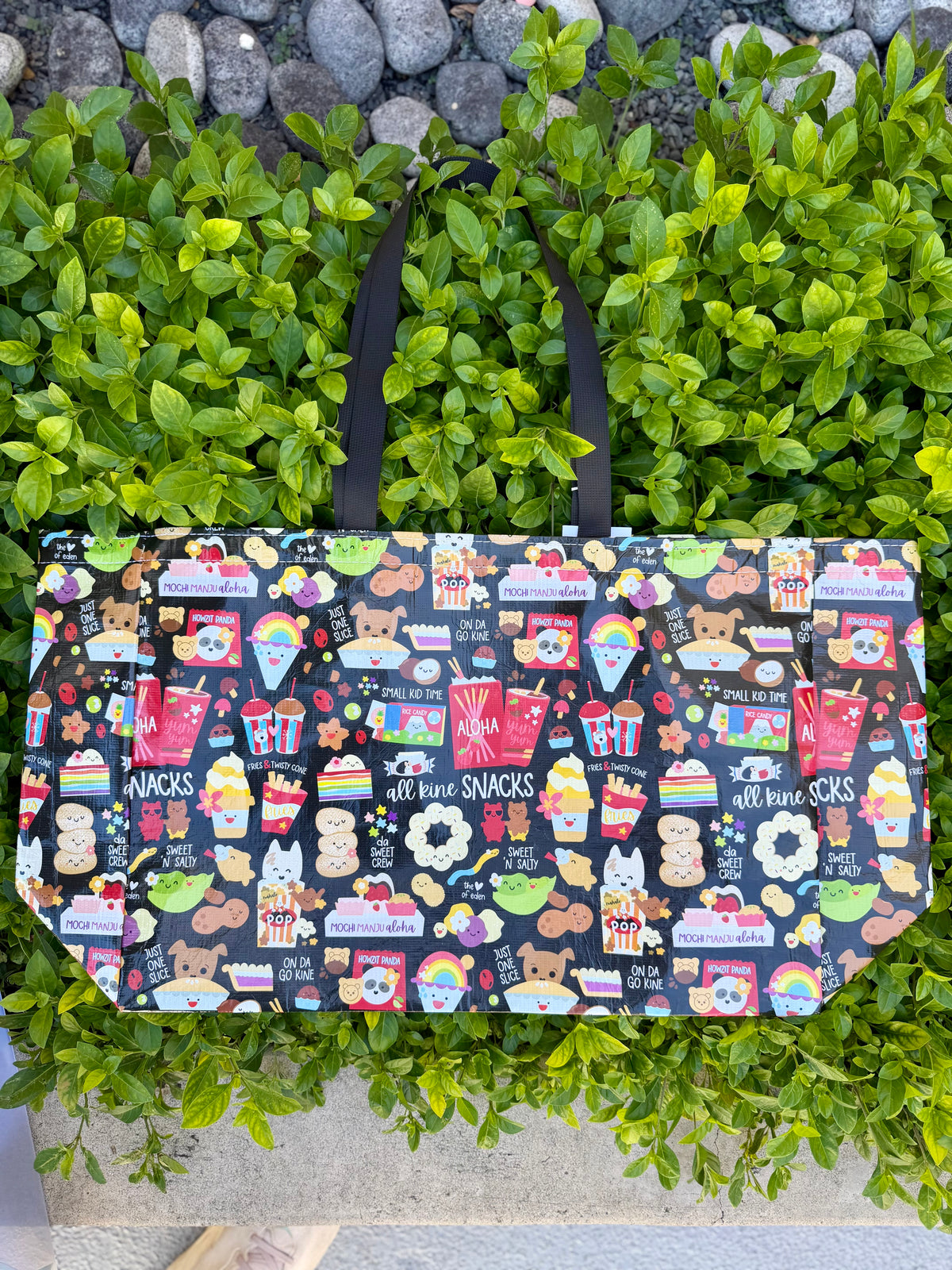EDEN OVERSIZED CRINKLE BAG ALL KINE SNACKS
