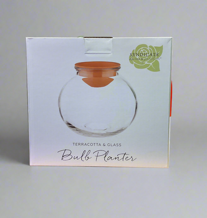 BUBBLE BALL PLANTER 8"