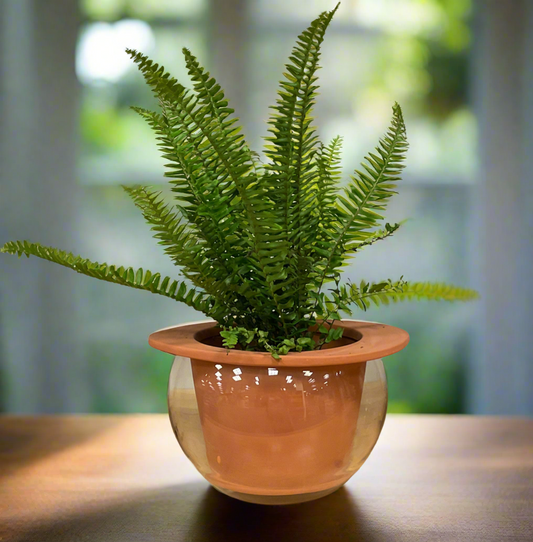 TERRA SELF WATERING PLNTR 8.75"