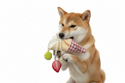 DOG TOY CREPE