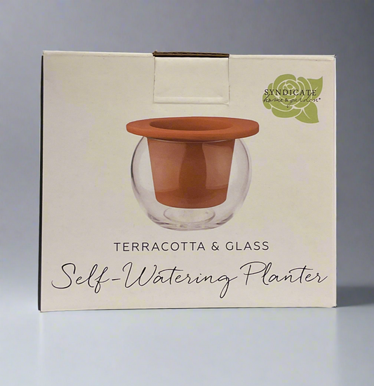 TERRA SELF WATERING PLNTR 4.5"