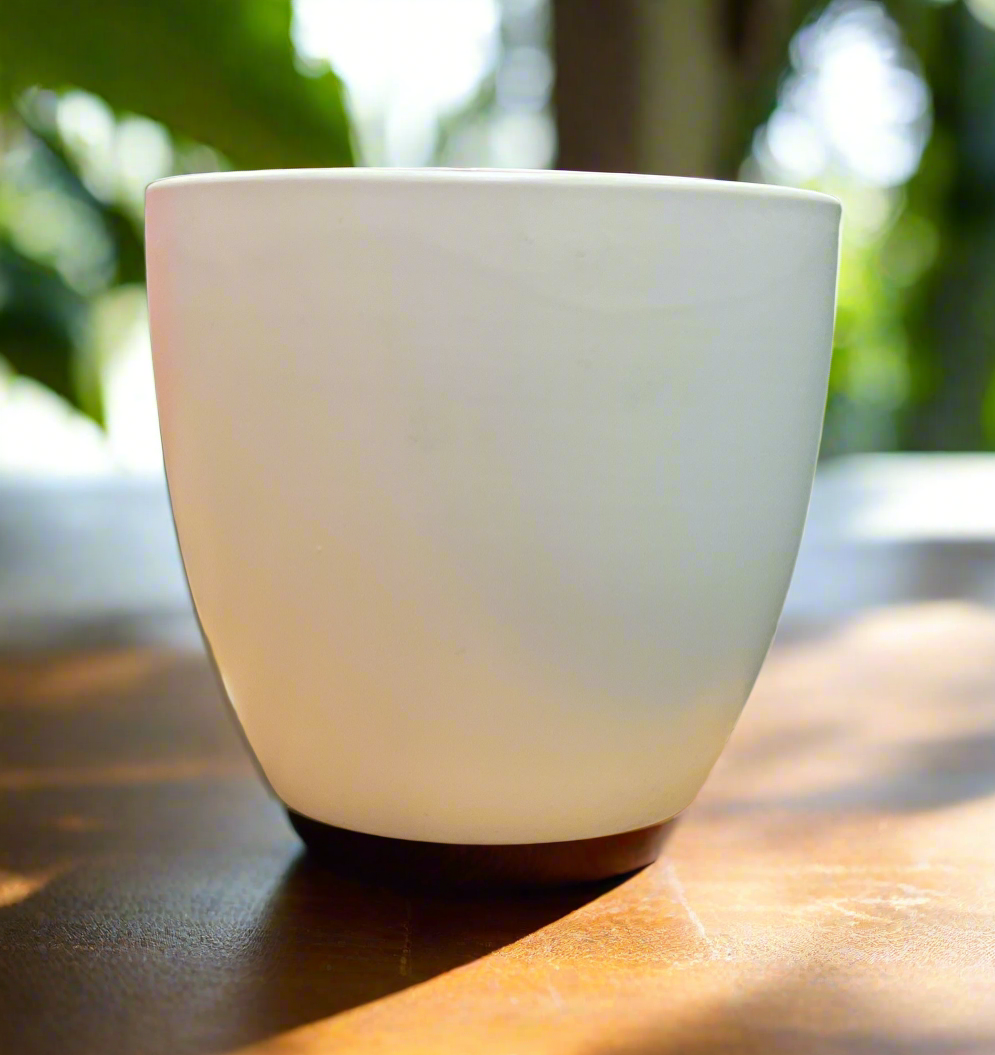 LILY CACHE POT 6.5" MATTE WHITE